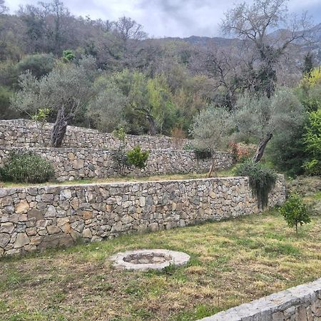 Villa Belle Air Herceg Novi Ngoại thất bức ảnh